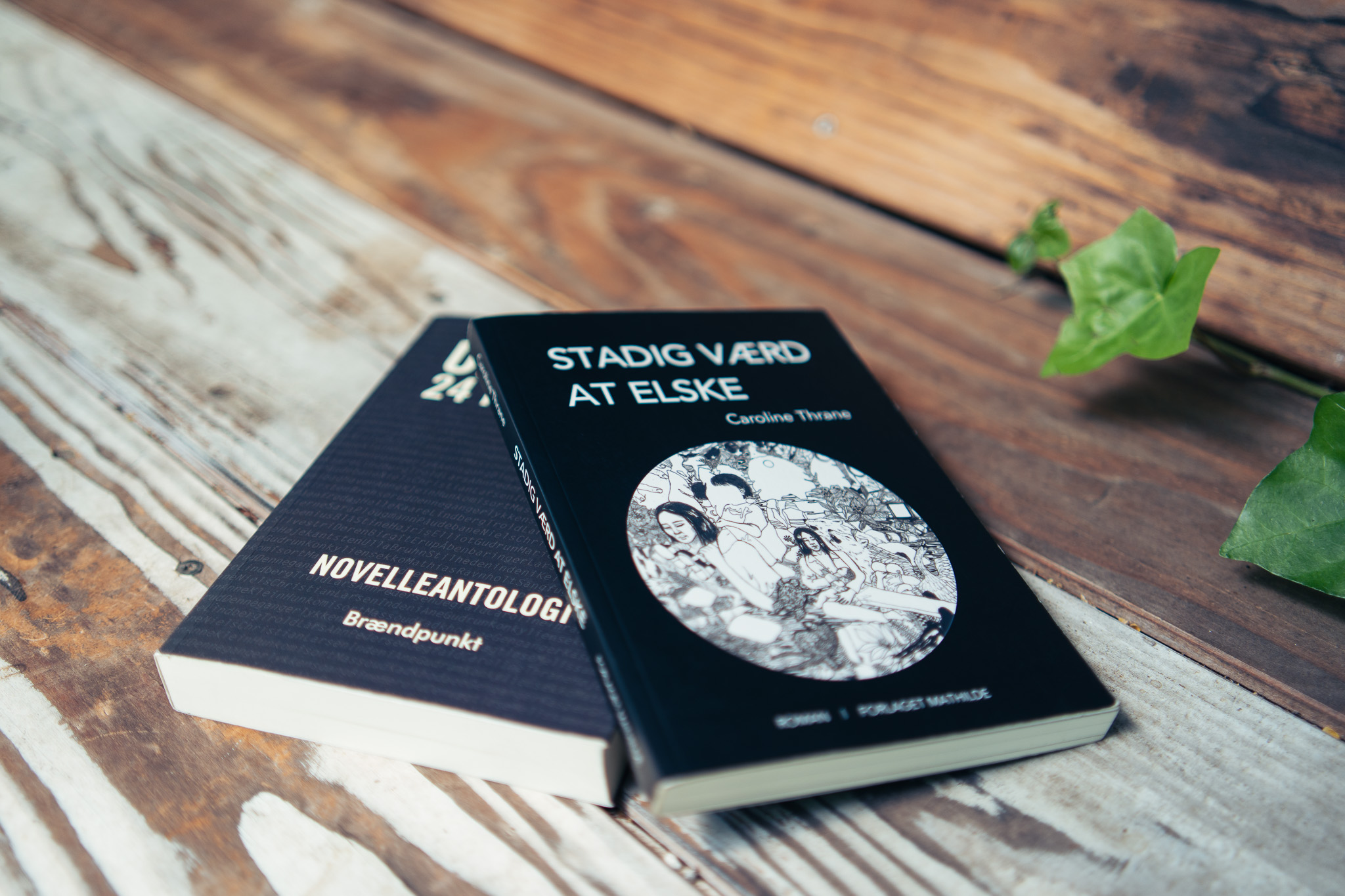 Billed 1, af Caroline Thranes første bog "stadig værd at elske" og en novelleantologie fra brændpunkt